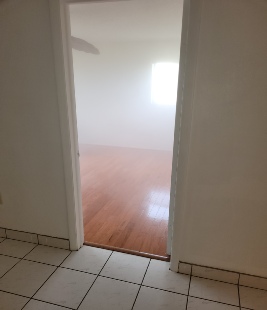 Mold Treatment Company Near Me